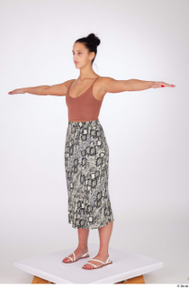 Suleika animal print maxi skirt camel v-neck knit crop top…